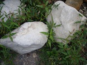 Отделочный камень в Старом Осколе с доставкой